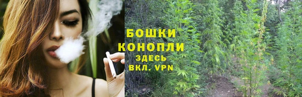 apvp Магадан