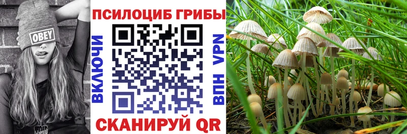 Галлюциногенные грибы мухоморы  Моршанск 