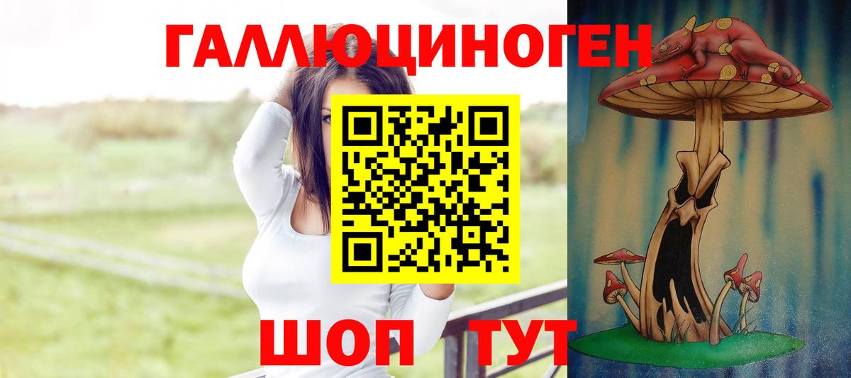 Псилоцибиновые грибы Psilocybine cubensis Моршанск
