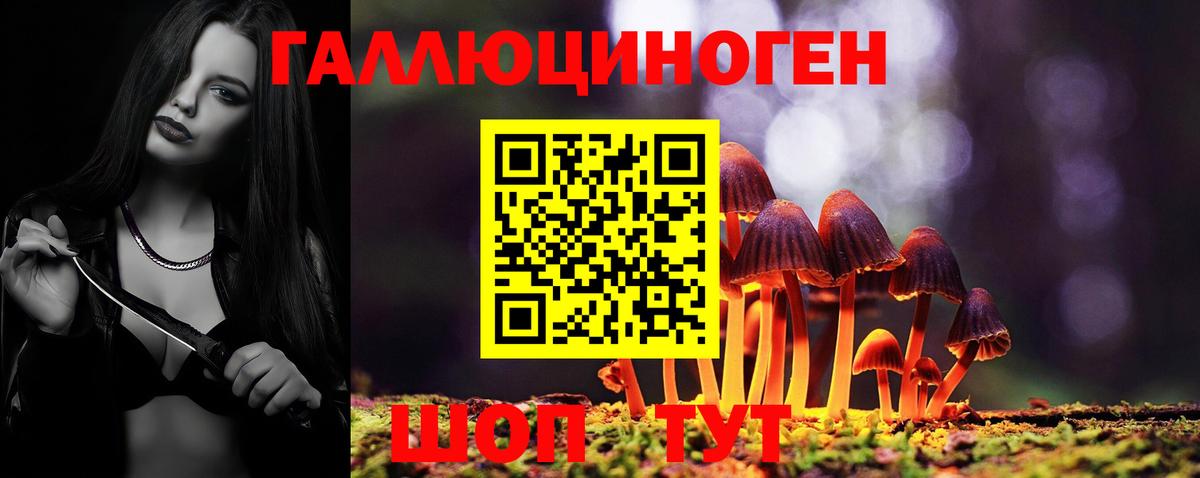 Галлюциногенные грибы Psilocybe  Вход с VPN  Моршанск  Галлюциногенные грибы мицелий 